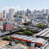 Retirada de abelha na Zona Norte
