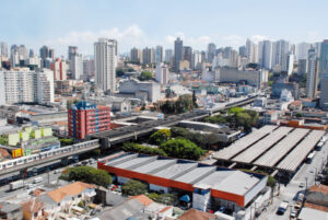 Retirada de abelha na Zona Norte