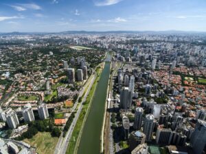 Retirada de abelha na Zona Oeste