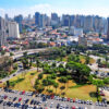 Retirada de abelhas Santo André