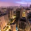 Remoção de abelha na Zona Leste