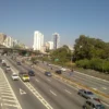 Retirada de abelha na Zona Sul