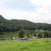 Retirada de abelha em Aldeia da Serra
