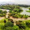 Retirada de abelha no bairro do Ibirapuera