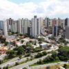 Retirada de marimbondo Santo André