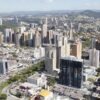 Retirada de marimbondo em Alphaville
