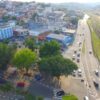 Retirada de marimbondo em Jandira