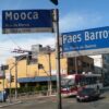 Retirada de marimbondo no bairro da Mooca