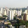 Retirada de vespa em Osasco