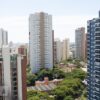 Retirada de vespa no bairro da Vila Mariana