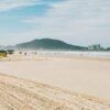 Retirade de abelha em Santos