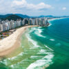 Remoção de abelha Guaruja
