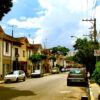 Remoção de abelhas na Zona Leste