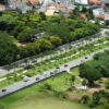 Retirada de Marimbondo em Santana
