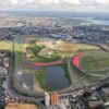 Retirada de abelha em interlagos