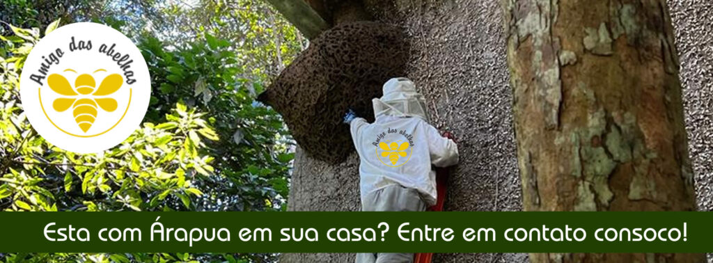 Remoção de Abelha Árapua