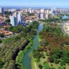 Remoção de Abelha em Indaiatuba